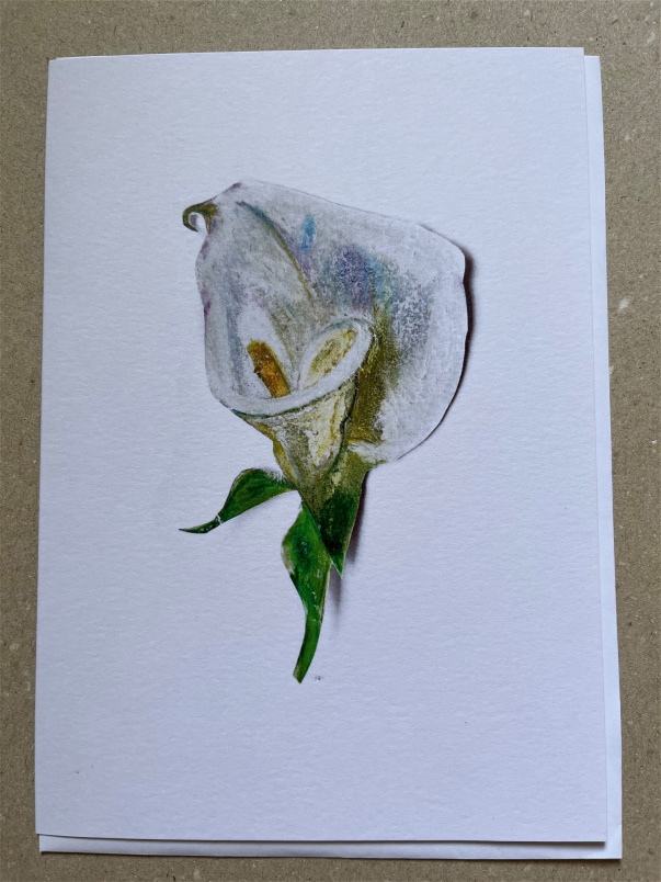 Gifts | Upsell gifts | Arum Lily Greetings Card