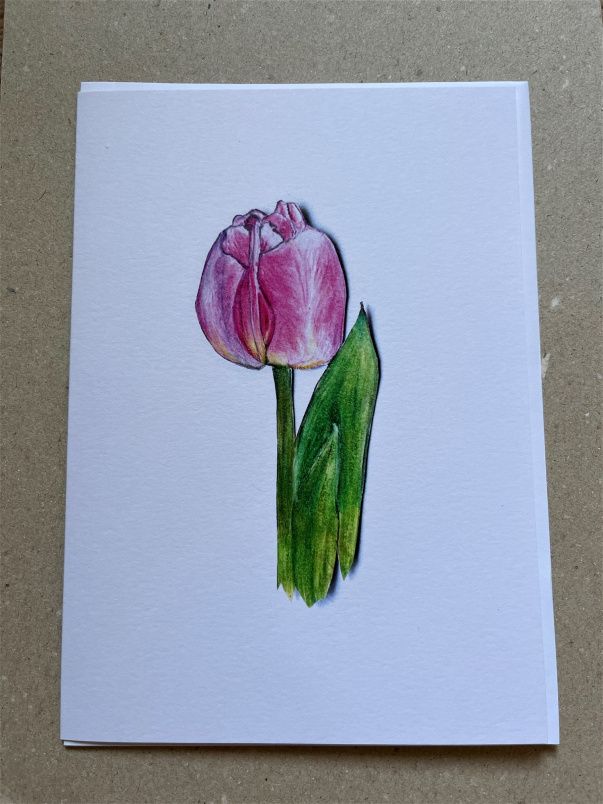 Gifts | Upsell gifts | Pink Tulip Greetings Card