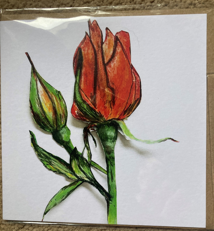 Gifts | Upsell gifts | Mariyo Rose Greetings Card