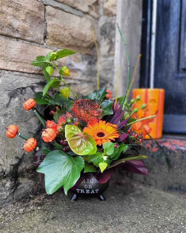 Autumn & Halloween | Trick or Treat Cauldron