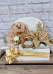 Christmas | Upsell gifts | Elegant Christmas Hamper