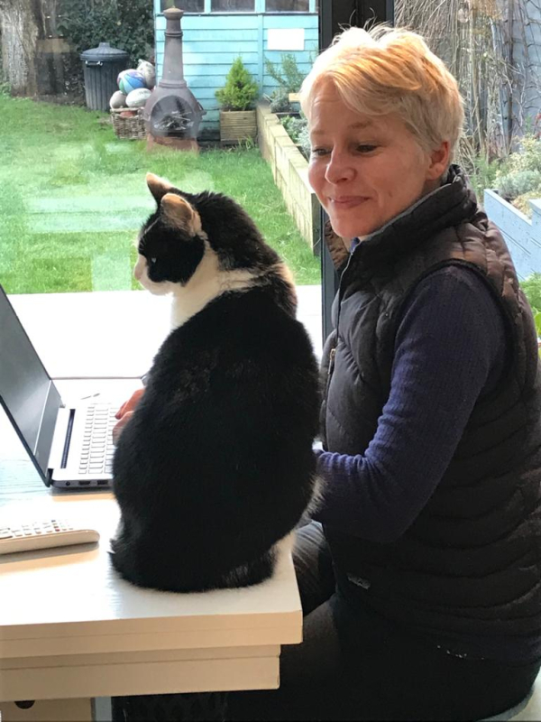 Driftwood and Daisies Flower School in Fareham | Fareham  | A Farewell Garden