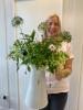 Driftwood and Daisies Flower School in Fareham | Fareham  | Workshops One to One