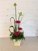 Autumn Flower Workshops | Thursday 24th September - Front Facing V's Simple Line Design