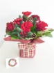 Christmas Gifts 2020 | Christmas Oasis Bouquet