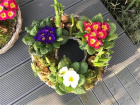 Planters | Spring Planter - Wicker Ring