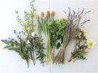 Spring/Summer Flower Workshops | Relax with flowers - Friday 2nd July