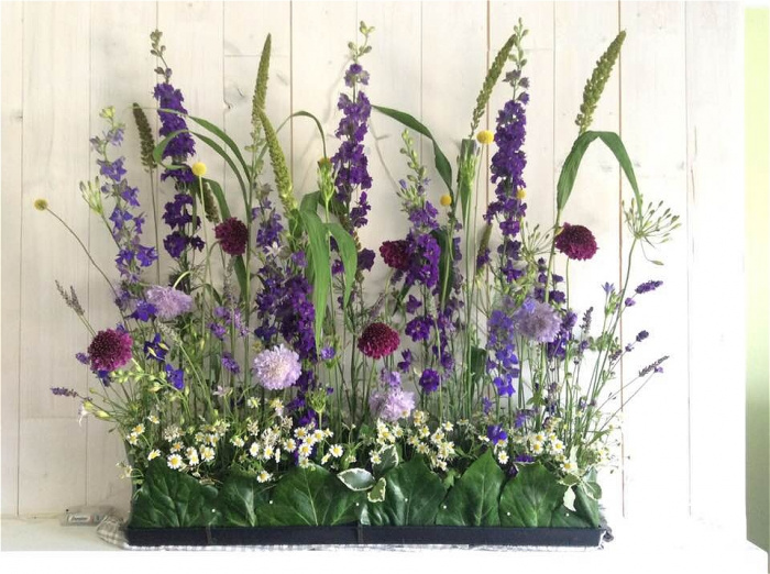 Leisure Workshops and Courses | Summertime Meadow- Wednesday 13th July- Morning workshop