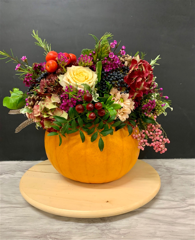 Autumn Workshops 2025 | Autumn Workshops 2026 | Potty about Pumpkins - Saturday 31st October - Morning workshop
