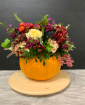 Autumn Workshops 2025 | Autumn Workshops 2026 | Potty about Pumpkins - Saturday 31st October - Morning workshop
