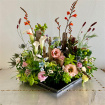 Winter/Spring 2025 | Driftwood and Flora - Friday 7th February - Morning Workshop