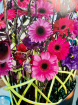 Late Spring/Summer Workshops 2026 | Designing with Gerberas -Thursday 30th April - Evening workshop
