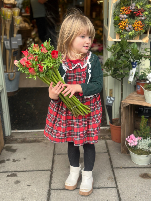 Siop Botanica | Lampeter | Bringing blooms to Lampeter from your local florist