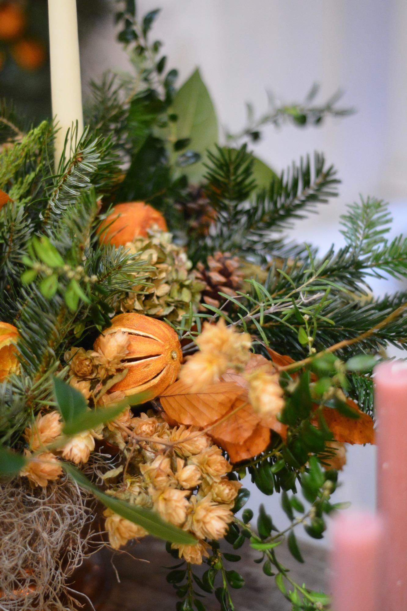 Siop Botanica | Lampeter | Home