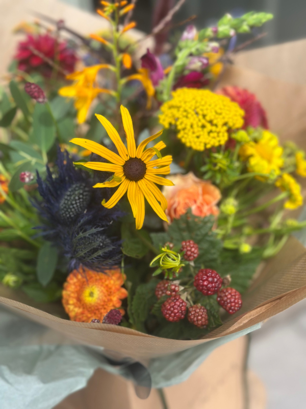 Siop Botanica | Lampeter | Events