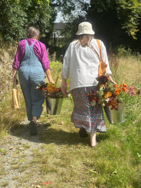 Siop Botanica | Lampeter | Events