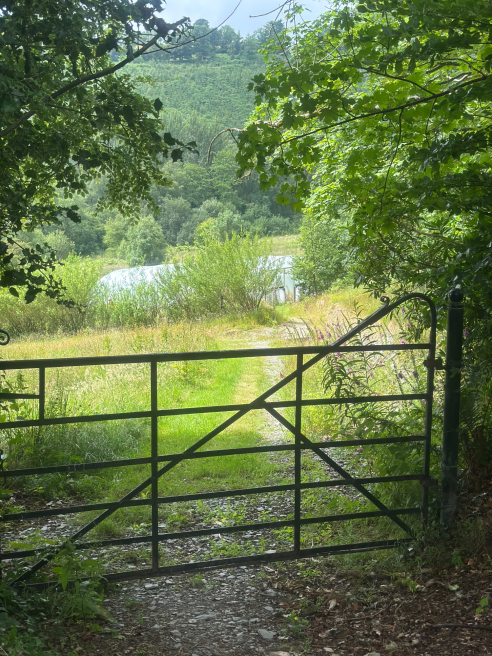 Siop Botanica | Lampeter | Events