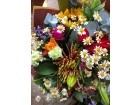 Consti Bouquet 