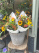 Mother’s Day  | Summer Collection | Coffee flowers