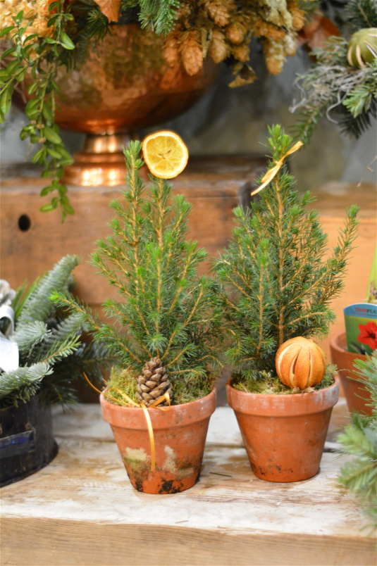 Christmas 2023 | Christmas 2025 | Festive Christmas Tree