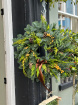 Christmas 2023 | Christmas 2024 | Botanica Wreath