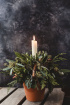 Christmas 2023 | Festive Candle Pot