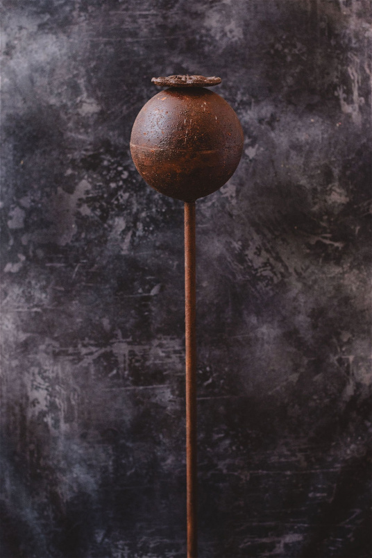 Christmas 2023 | Gifts and More | Rusty Poppy Head