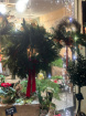 Christmas 2025 | Christmas Open Evening Thursday 27th November