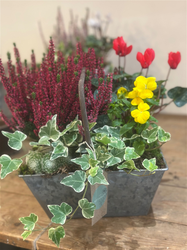 Autumn Collection | Autumn Trug