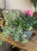 Autumn Collection | Autumn Trug