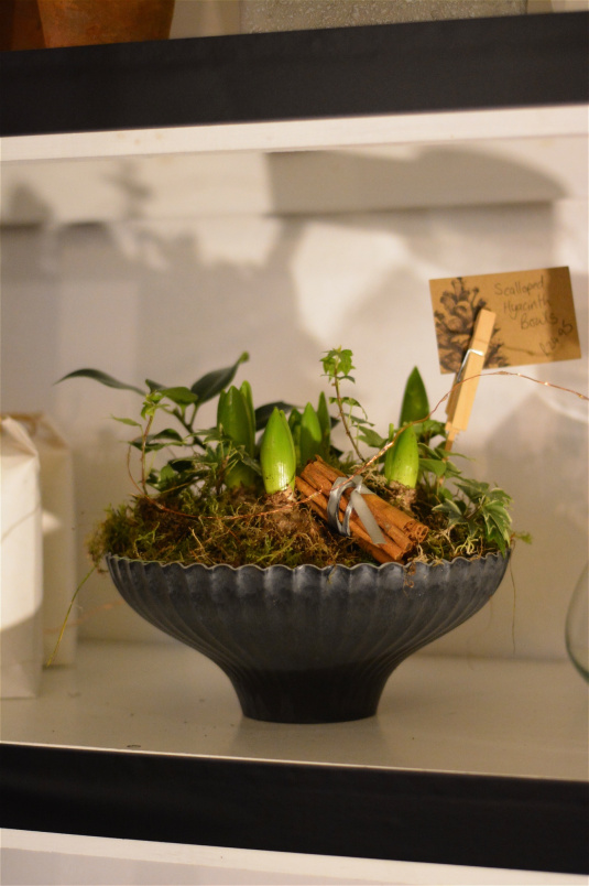 Christmas 2025 | Scalloped Hyacinth Bowl