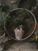 Christmas 2025 | Vintage Sieve Wreath