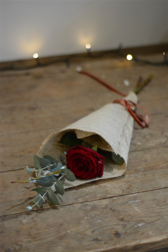 St. Valentine’s Day 2026 | Single Red Rose