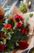 St. Valentine’s Day 2026 | Red Roses