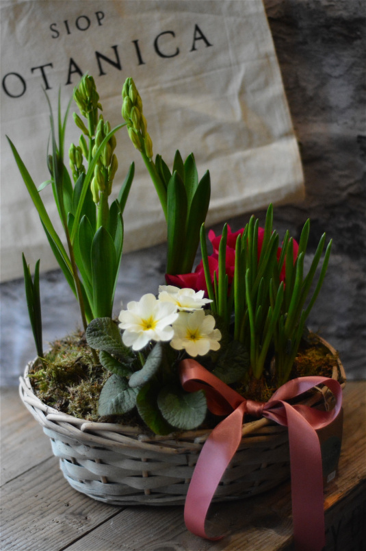Mothering Sunday | Basket of Spring