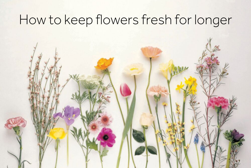 How to keep flowers fresh for longer