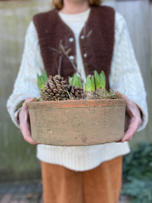 Flowers by Nic @ The Floral Boutique | Isle of Wight | The Charm and Care of Hyacinths: A Perfect Christmas Bloom