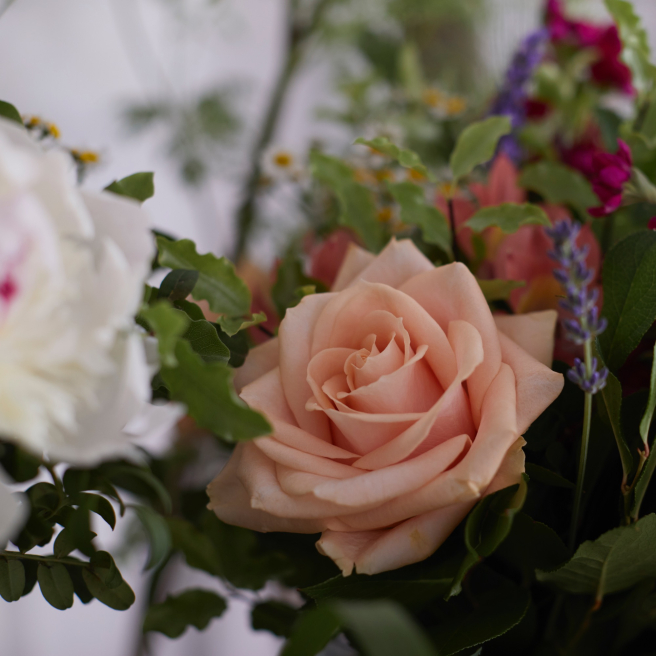 Flowers by Nic @ The Floral Boutique | Isle of Wight | Unlock the Magic of Roses - Celebrate Rose Awareness Week 2025