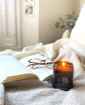 Christmas Collection 2024 | Gifts | Eucalyptus Essential Oil Soy Candle - Goose Island Candle Company