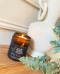 Christmas Collection 2024 | Gifts | Island Breeze Soy Candle - Goose Island Candle Company