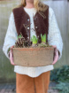 Christmas Collection 2024 | Plants | Winter White Hyacinth Planter