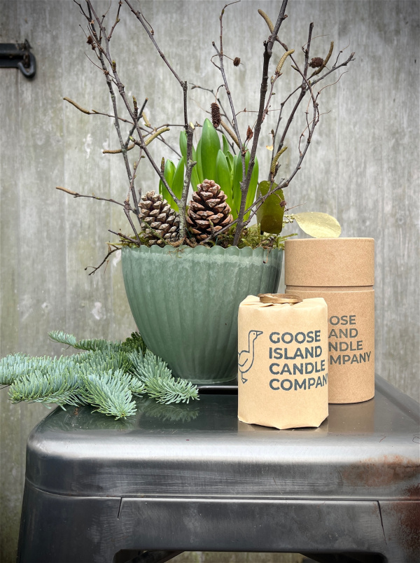 Christmas Collection 2025 | Gifts | Plants | The Scented Christmas Duo