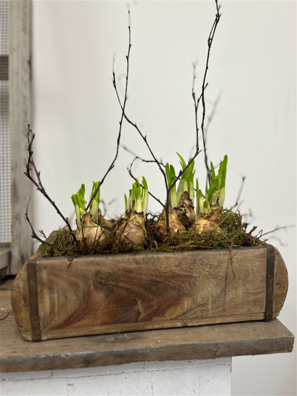 Arrangements | Mother's Day Collection | Plants | Reclaimed Wooden Brickmould Planted