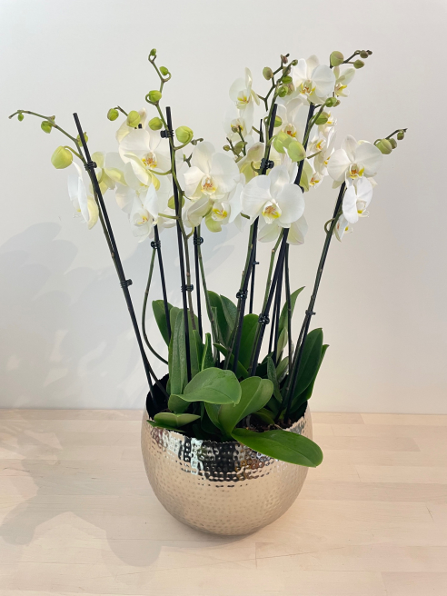 Unique Flowers | Frimley | Corporate Flower Arrangements