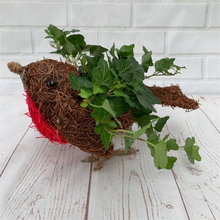 Christmas | Flower Baskets  | Mother’s Day | Salim Robin Planter with Ivy