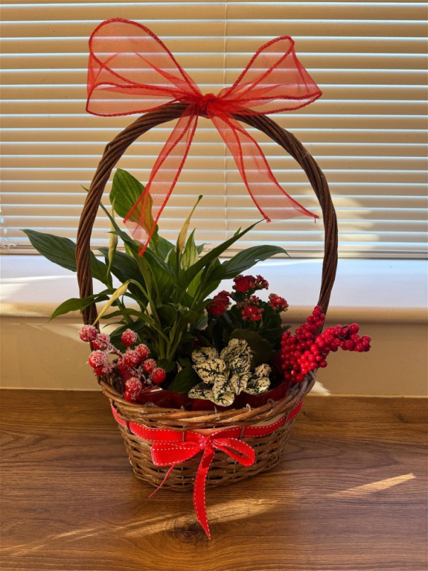 Christmas | Flower Baskets  | Ruby House Plant Basket 25cm