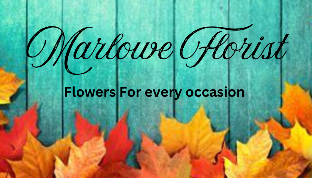 Marlowe Florist | Canterbury | Home