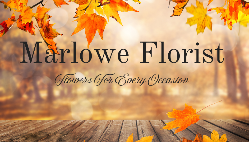 Marlowe Florist | Canterbury | Home