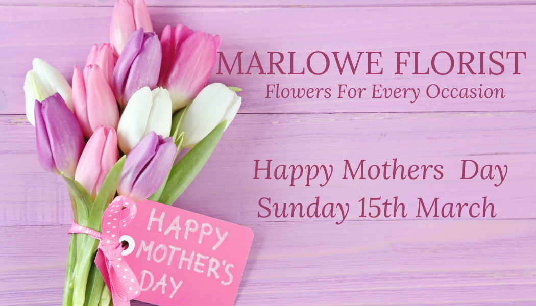Marlowe Florist | Canterbury | Home