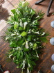 Funeral Flowers | Exotic Coffin Spray